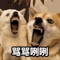 Nature 曝惊人内幕:论文被天价卖出喂 AI,作者 0 收入