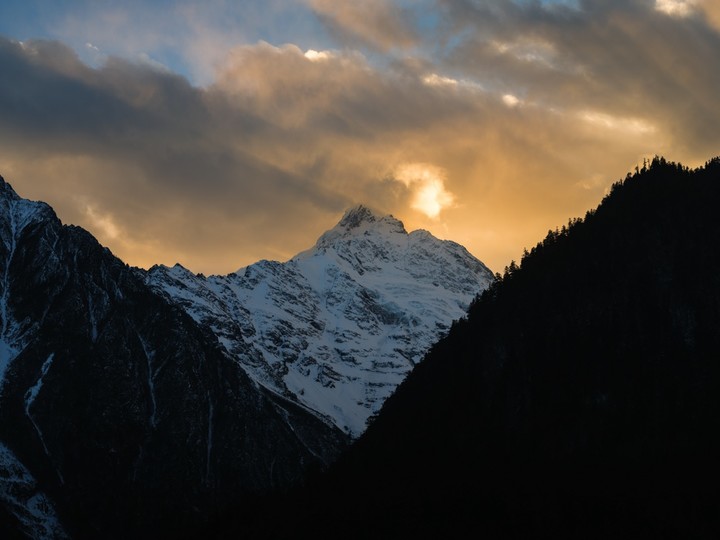 刚刚发布的 Pixel 9，将手机拍照卷到了一个新高度