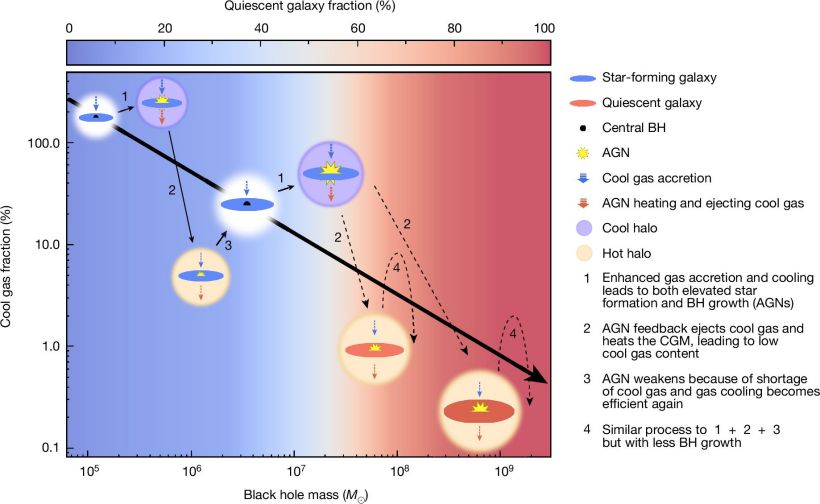 解开困扰天文学界半个世纪的谜题,我国科学家首次提供星系中心黑洞影响冷气体含量的直接证据