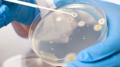 重读秦含章，中国食品工业的前瞻智慧丨仙秦荟匠心传承，跨越世纪的酒香传奇