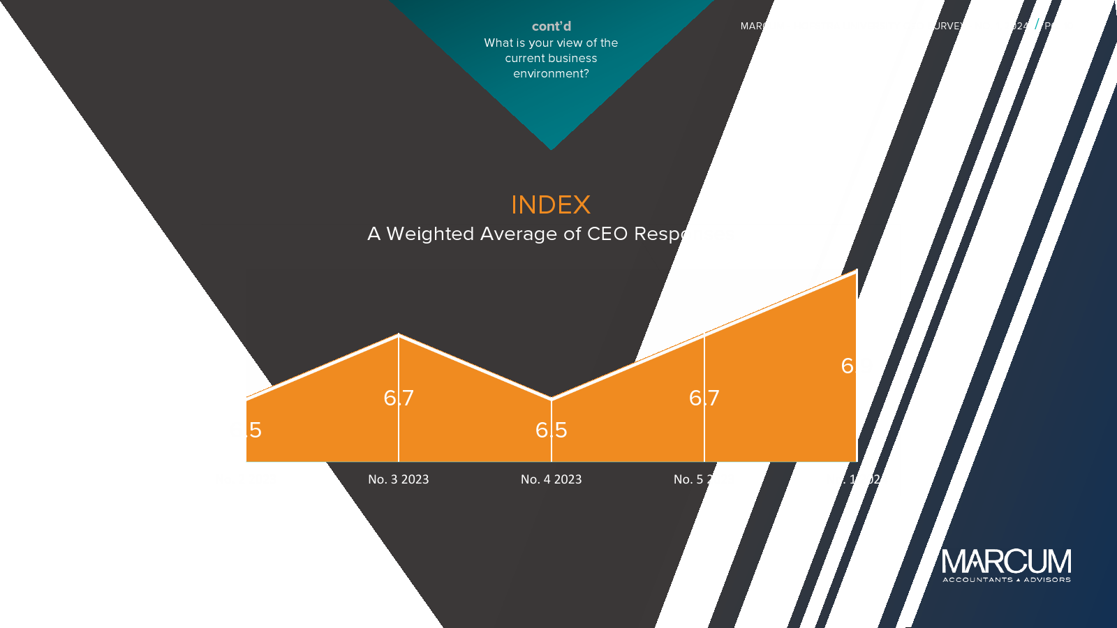 Marcum-Hofstra University：2024年CEO报告