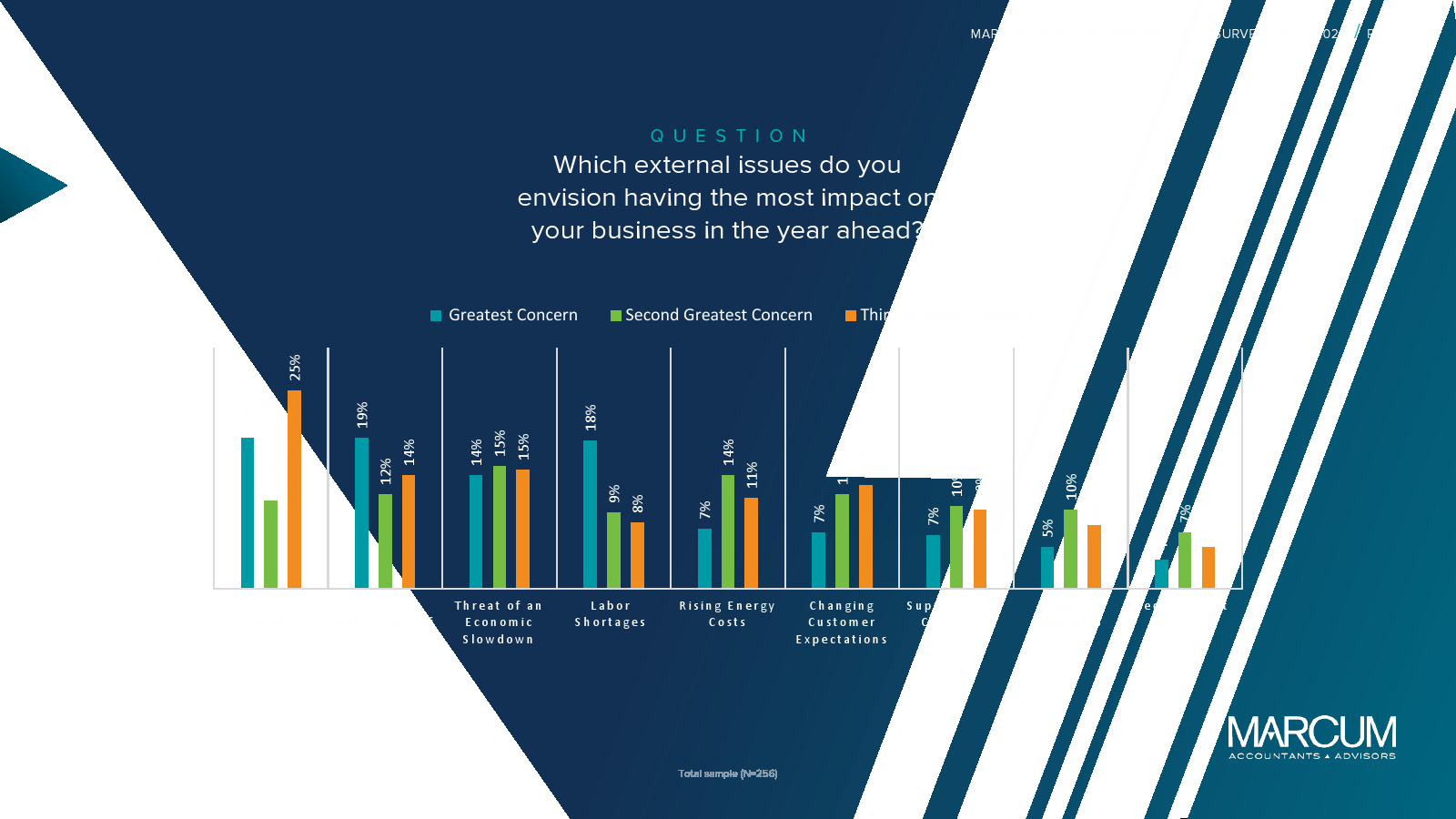 Marcum-Hofstra University：2024年CEO报告