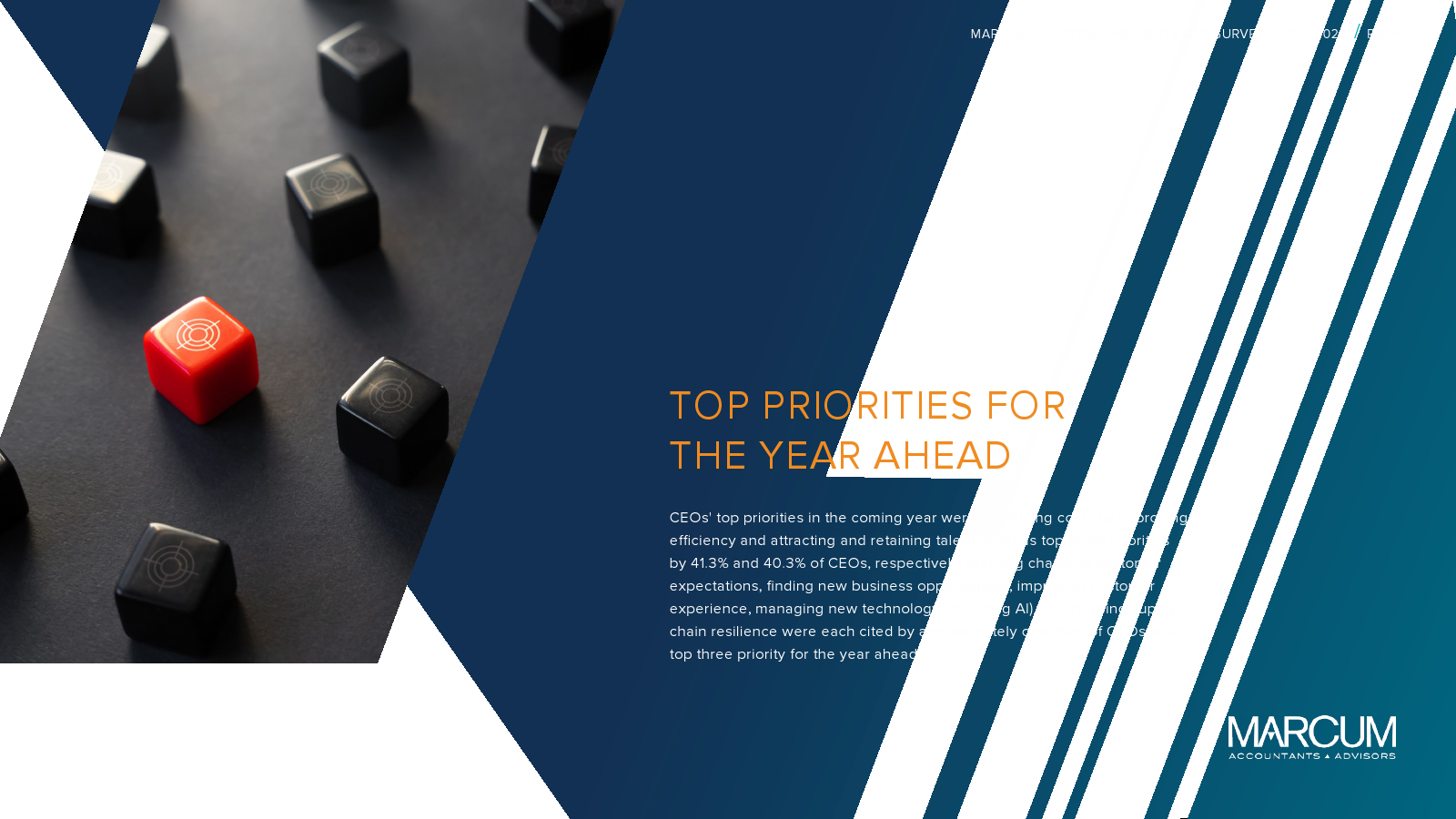 Marcum-Hofstra University：2024年CEO报告