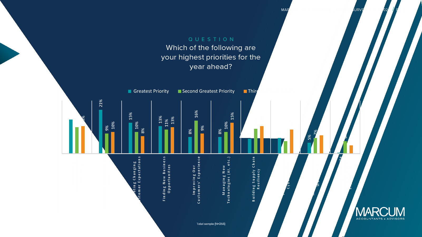 Marcum-Hofstra University：2024年CEO报告