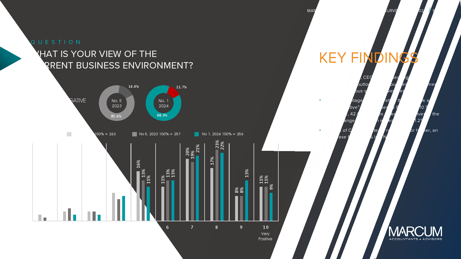 Marcum-Hofstra University：2024年CEO报告
