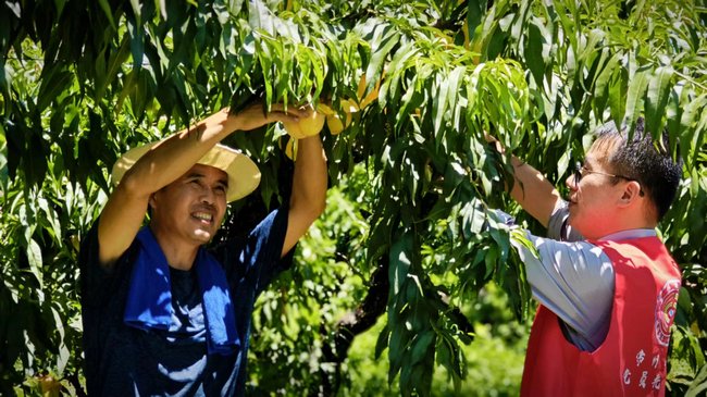 常州移动数智赋能 种出乡村振兴“甜蜜果”