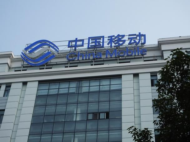 给湖南某地移动干活从二楼摔至一楼却没人负责？放光缆的农民工掏空家底治重伤！自称快三年移动没给一分钱治疗费？