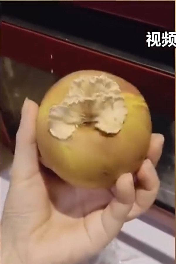 苹果上为什么会长蘑菇 9f03-b9d47077e001faff139228eefffc5afa.jpg