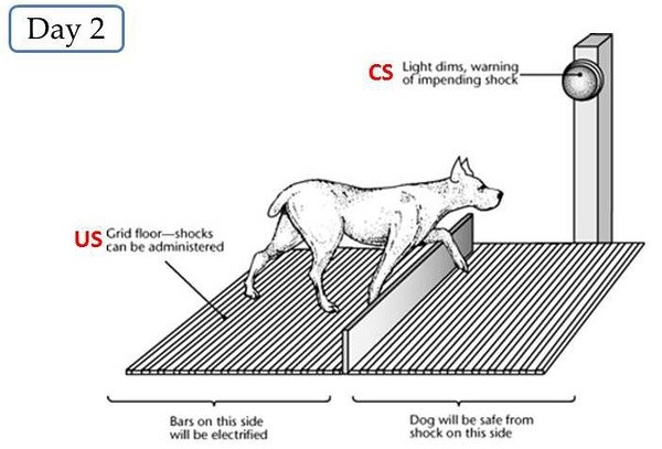 余承东的刷屏视频,揭示了成功者最大的底气,来自于1件事