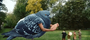 盘点 10 个已经消失的奥运项目