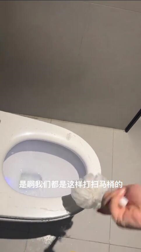 酒店竟用马桶刷蘸马桶水刷马桶 员工:又不是下水道的水