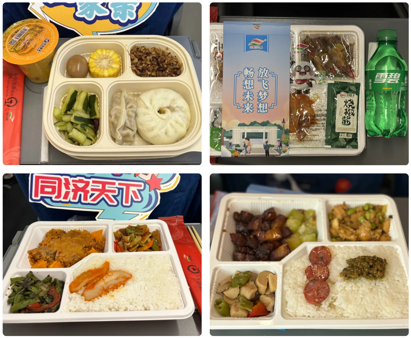 “包高铁”接新生，同济大学专列免费接云贵川渝藏学生来沪