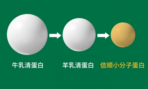 英博奶粉佶顺:4蛋白小分子,助力宝宝肠道健康