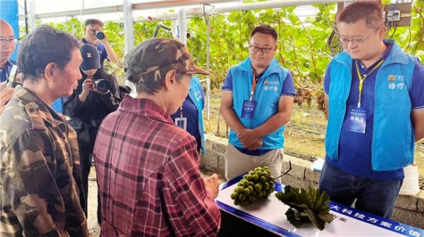 冲击百亿市场!云大科技王者归来开启长效芸苔素时代