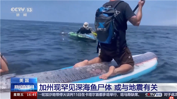 美国加州现3.6米长罕见深海鱼尸体 博物杂志:跟地震有关是民间传说