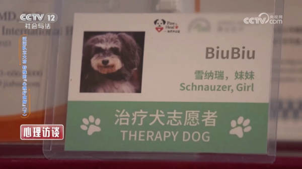 瑞派明星医生:拯救特殊“心理疗愈师”,给予宠主深厚情绪价值需求