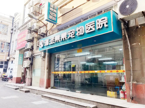 瑞派明星医生:拯救特殊“心理疗愈师”,给予宠主深厚情绪价值需求