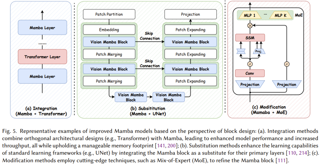 一文看懂Mamba,Transformer最强竞争者