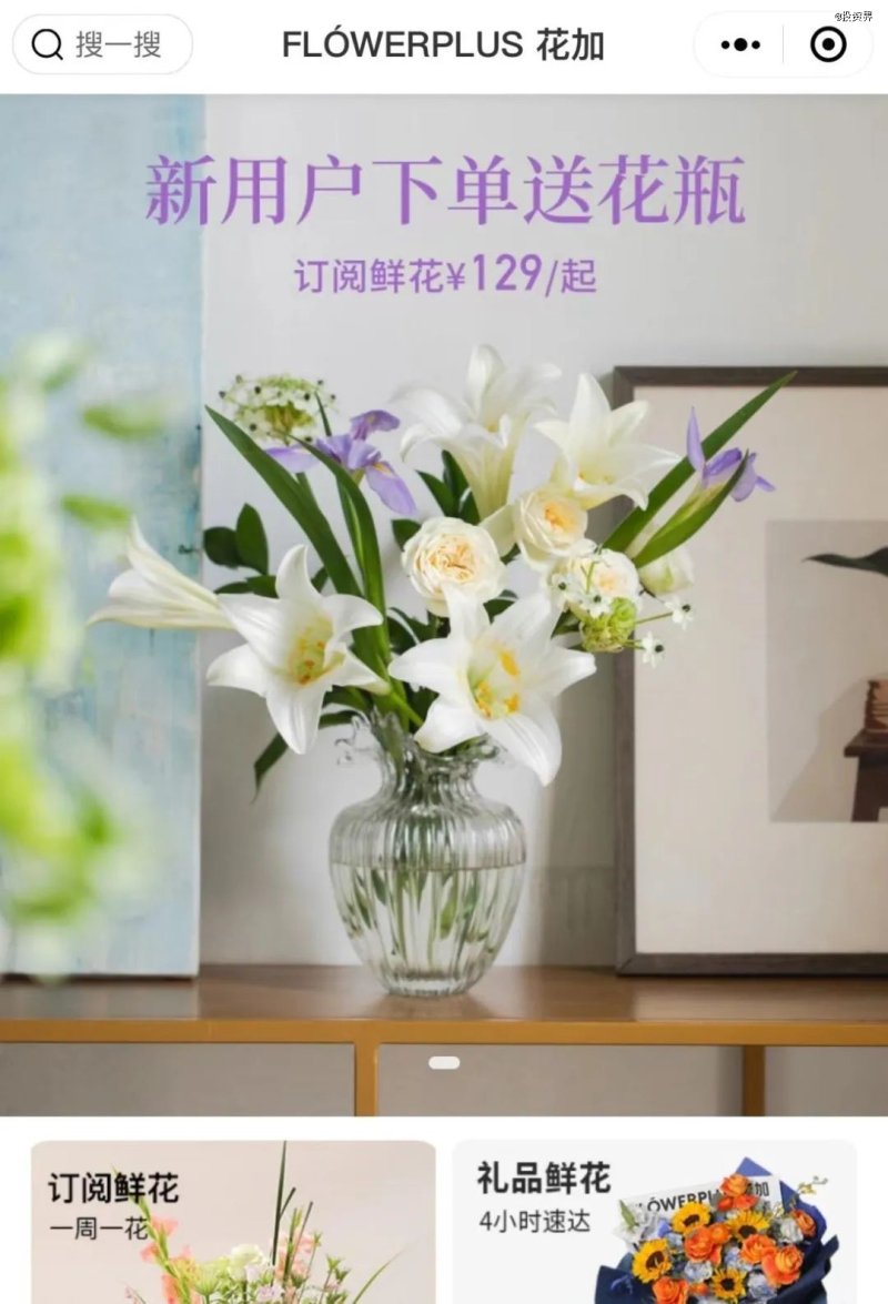 一家B轮独角兽倒下：花加开始破产清算