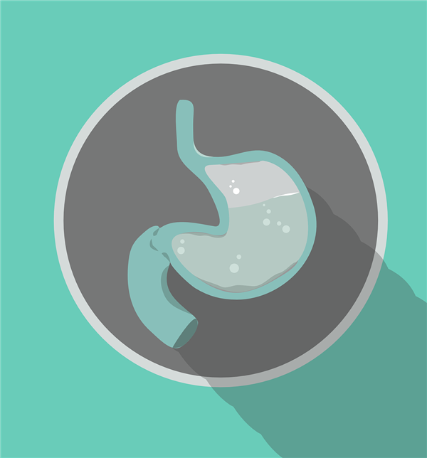 人类曾是最成功的腐食者:你的胃酸可以证明