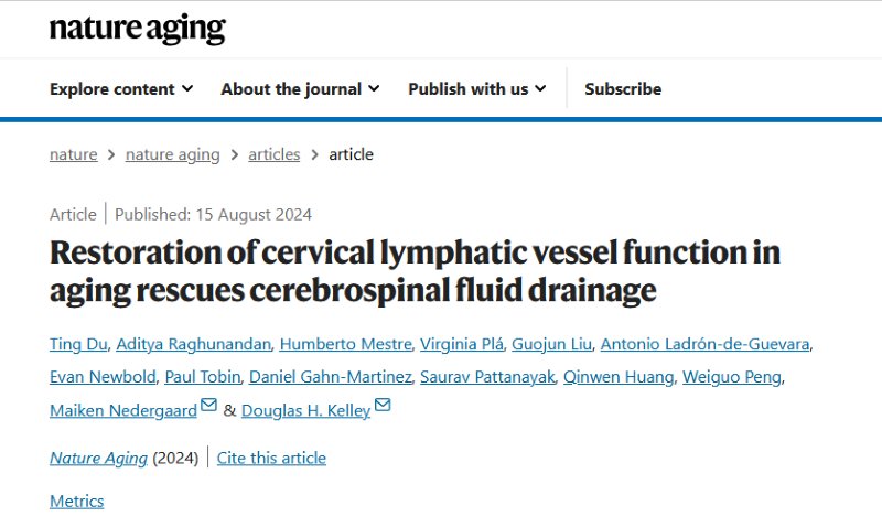 脑脊液清除毒素机制有望恢复大脑“衰老处理系统”