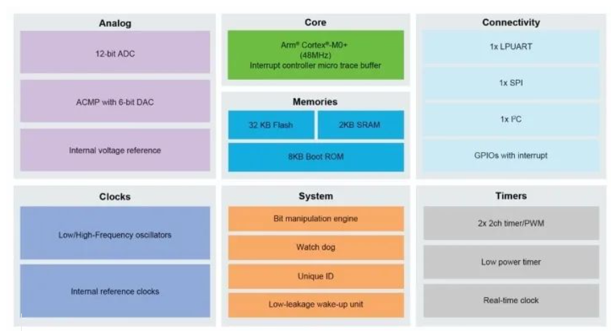 入门级、高性价比MCX C系列微控制器