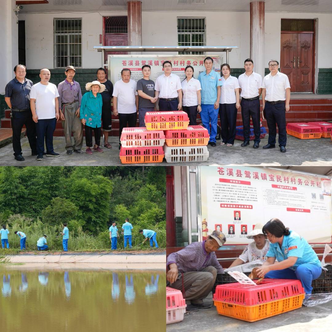 央企开展专项帮扶活动，助力乡村振兴