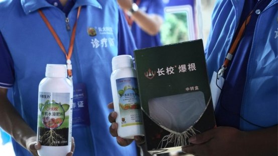 冲击百亿市场!云大科技王者归来开启长效芸苔素时代