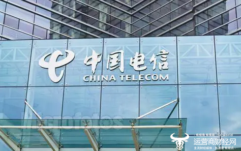 独家:中国电信旗下这三家专业公司真强 业绩考核均获优排名还靠前