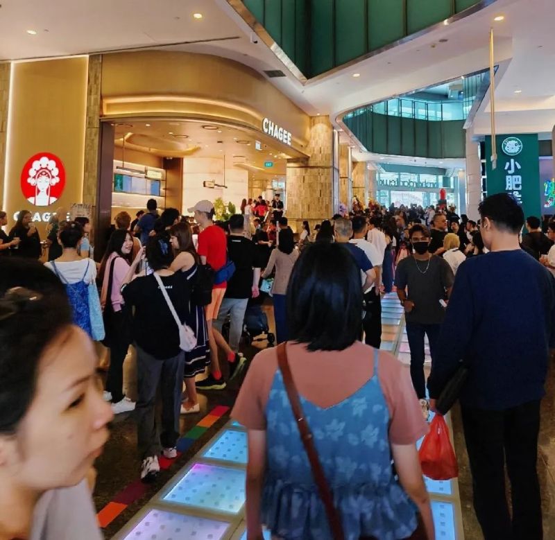 新加坡到底有谁在啊，让霸王茶姬这么惦记？