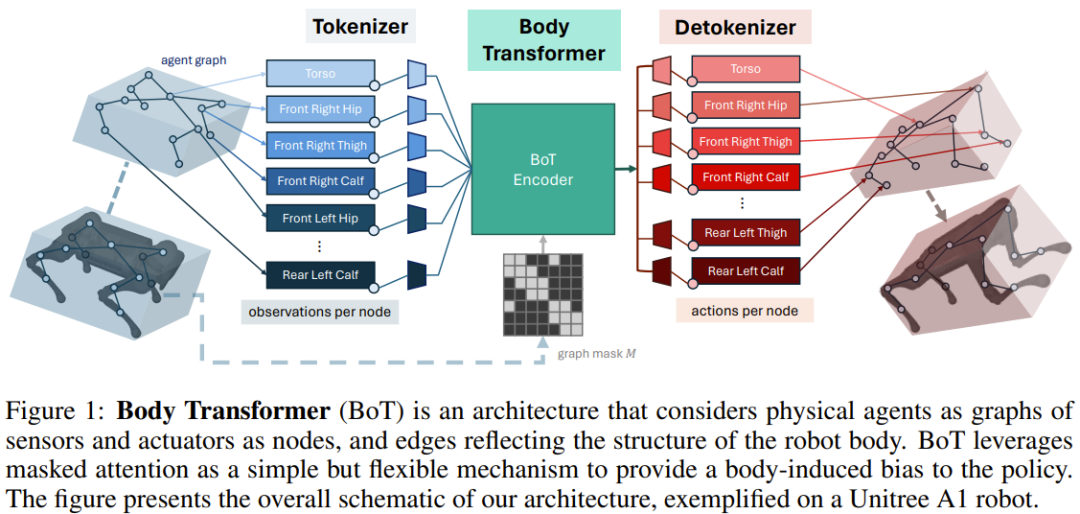 机器人策略学习的Game Changer?伯克利提出Body Transformer