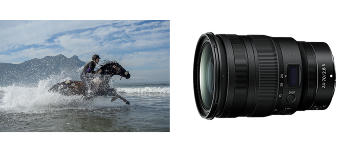 用相机点燃灵感 以镜头定格艺术 尼康佳品助力共庆世界摄影日