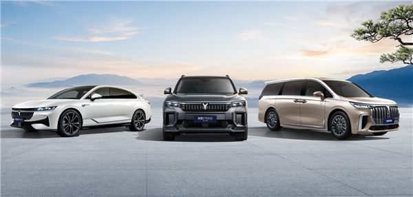 岚图汽车:夏测是造车企业都必须做的事情 我们之前不宣传