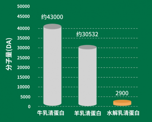 英博奶粉佶顺:4蛋白小分子,助力宝宝肠道健康
