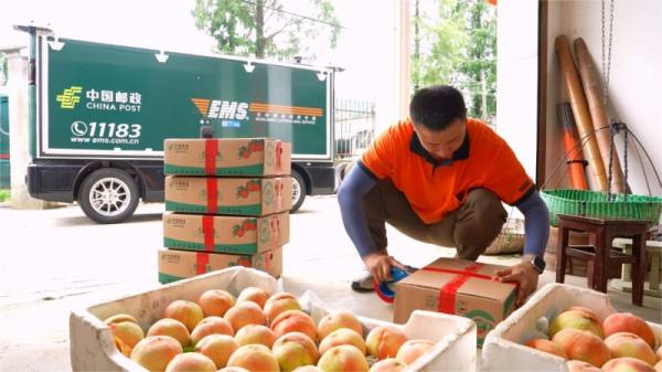 嘉兴南湖区与九识智能携手,开启智能网联汽车新纪元