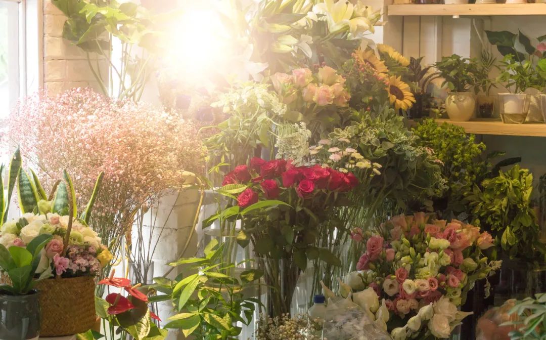 又一知名独角兽破产清算,十年干掉几个亿