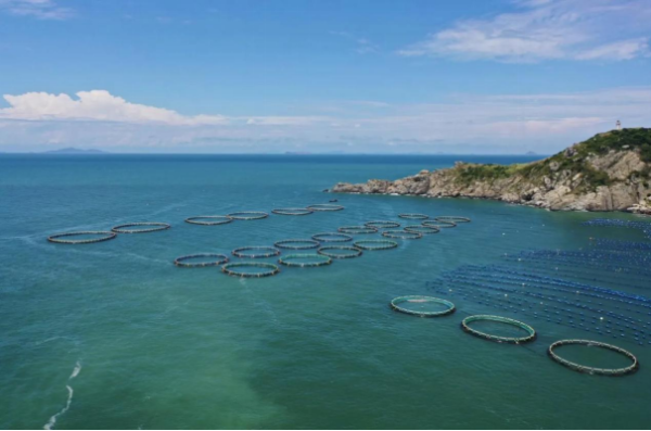 一米八在合肥盒马九店联动路演,鲜活贻贝创下销量新纪录