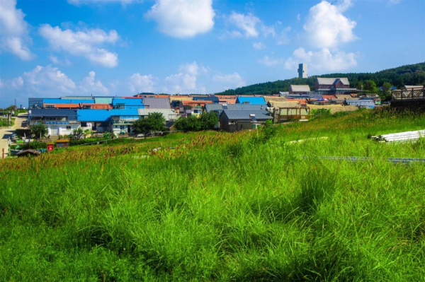 鸡鸣岛再登抖音热搜,这个夏天,来打卡这座自带美好的宝藏海岛