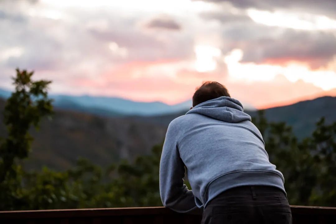 又一知名独角兽破产清算,十年干掉几个亿