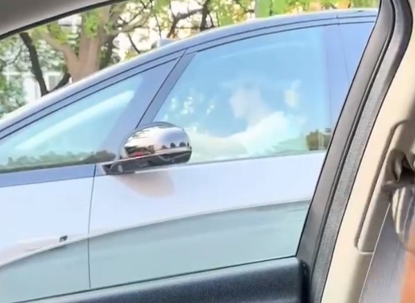 网友拍到知名男星开理想MEGA!罗永浩也自称是车主