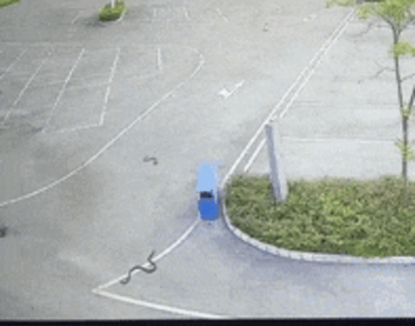 高速服务区两只眼镜王蛇打架:战况激烈 吓坏路人