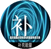 赫兹康动态磁场强理疗仪:健康磁疗新选择