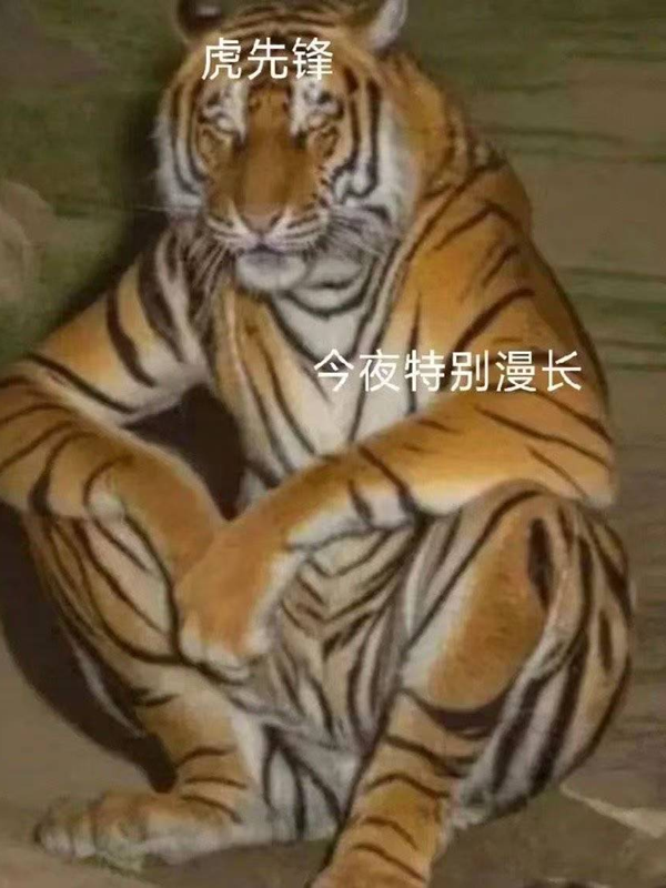 黑神话悟空上线!网友遭遇九九八十一难:你卡在第几难