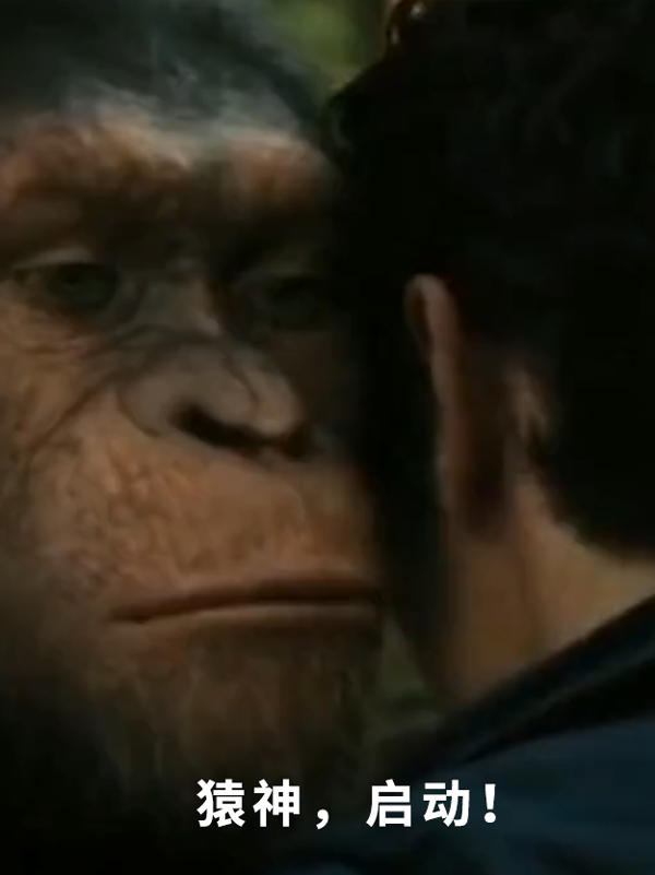 黑神话悟空上线!网友遭遇九九八十一难:你卡在第几难