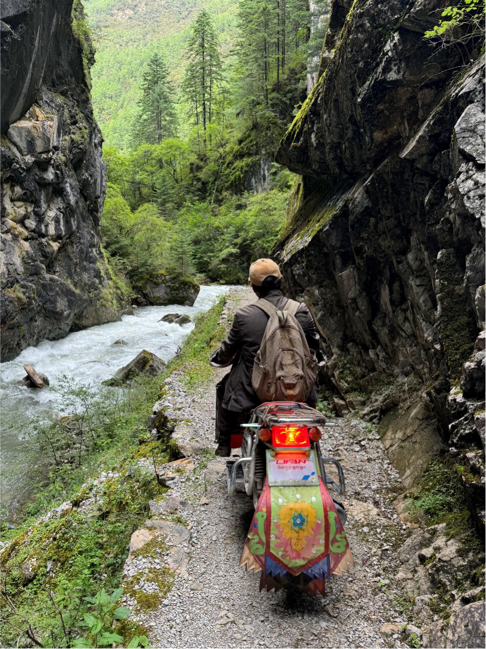 香格里拉的松茸“猎人”