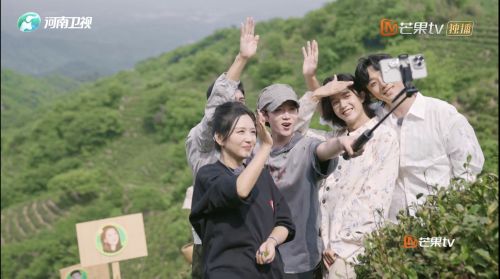 《田间的少年2》毛尖市集火热开市，茗气家族开启茶旅新征程