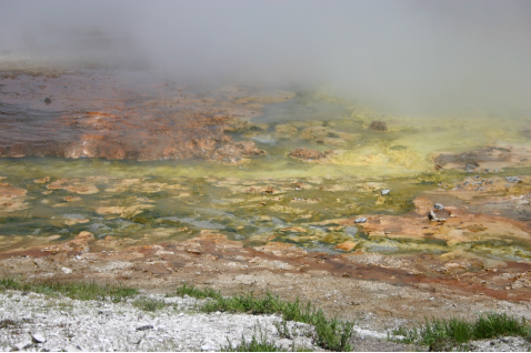 厨房里有个“细菌窝”:很多人都没洗过