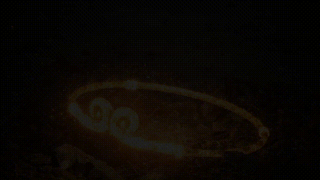 黑神话爆火，深圳人赚翻