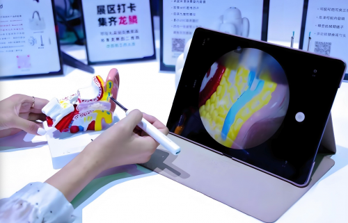 科技小物大作为:可视耳勺市场的深度解析与bebird蜂鸟品牌亮点