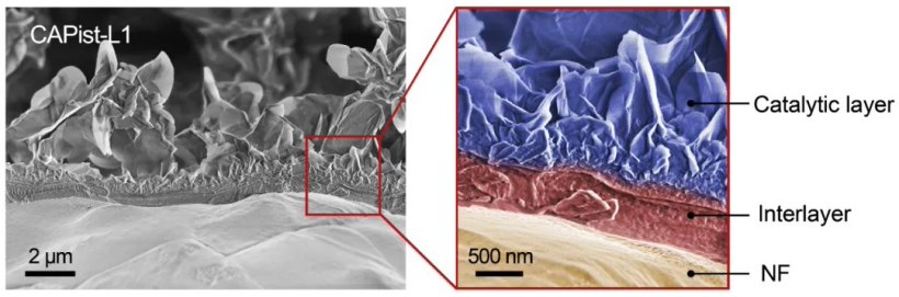 加错试剂却稳定工作超 1.9 万小时,西湖大学创造电解水制氢催化剂新纪录